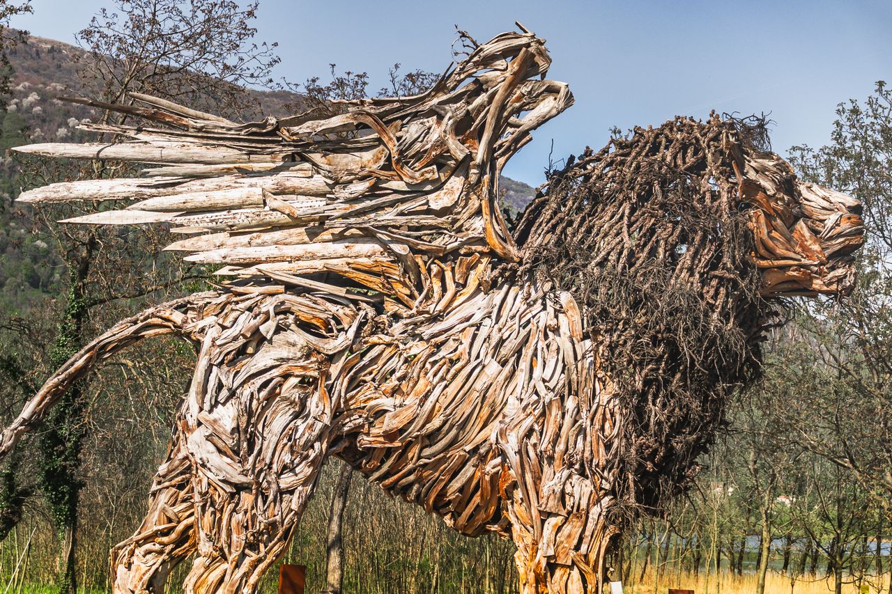 Driftwood Study by Priya Nathan
